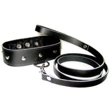 Studded leather collar with D-ring. Faux-fur lined for comfort.