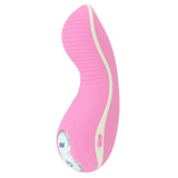 Silicon rechargeable waterproof personal massager with AC adaptor and 7 functions.