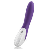 Classical - no frills: The slightly curved, smooth body of Mystim Elegant Eric conceals inside it two vibrator motors at once.